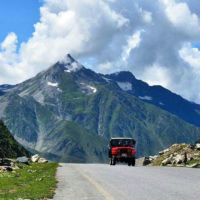 Flora and fauna of Naran Kaghan