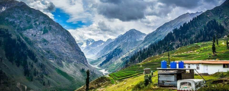 Vibrant greenery in Naran Kaghan